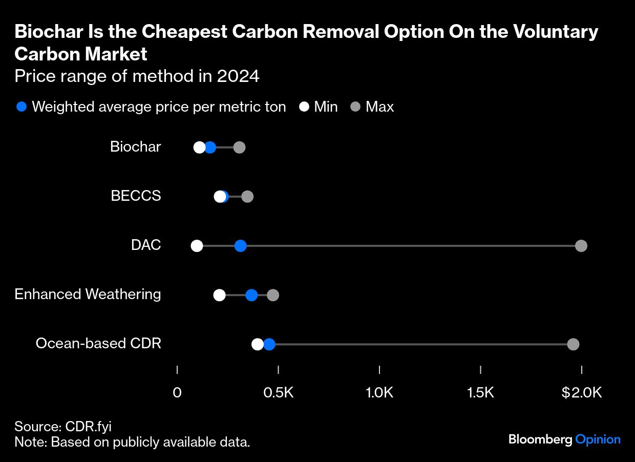 biochar cheapest