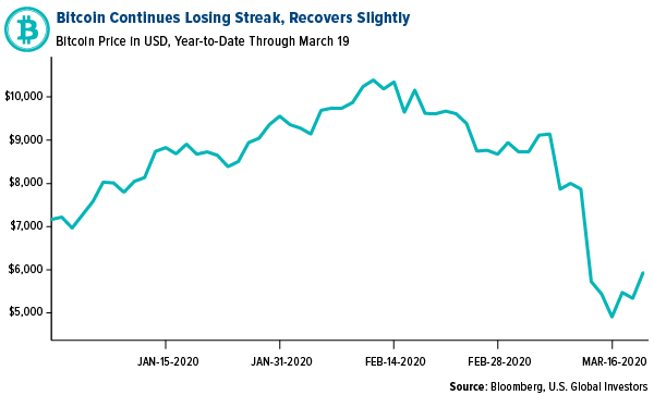 Bitcoin continues losing streak, recovers slightly