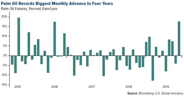 Palm oil records biggest monthly advance in four years