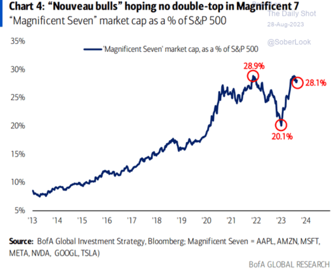 nouveau bulls
