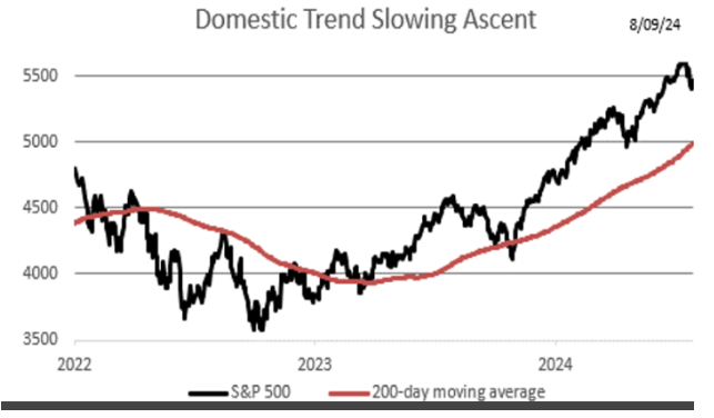 domestic trend