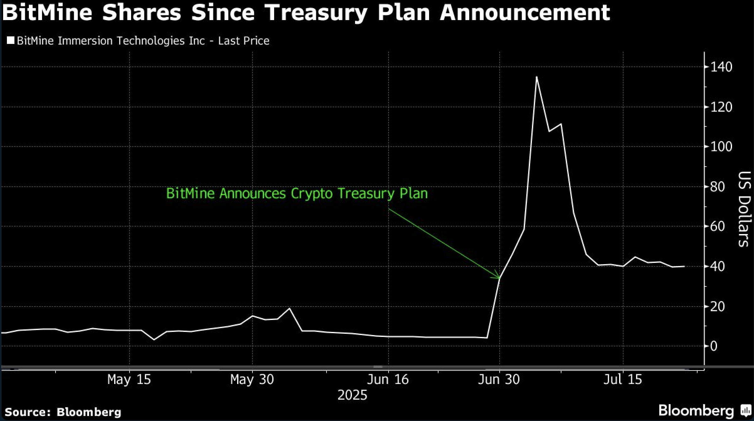 bitmine shares