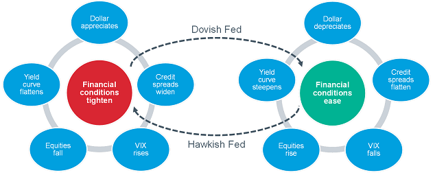 The Fed Policy Loop