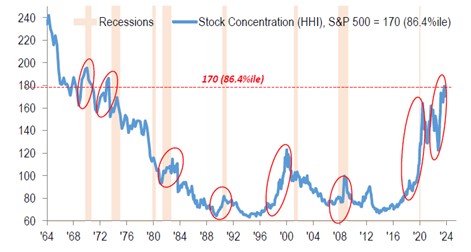 Concentration within the S&P 500
