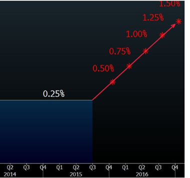 Path of Interest Rate Increases