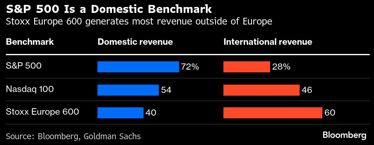 S&P 500 domestic benchmark