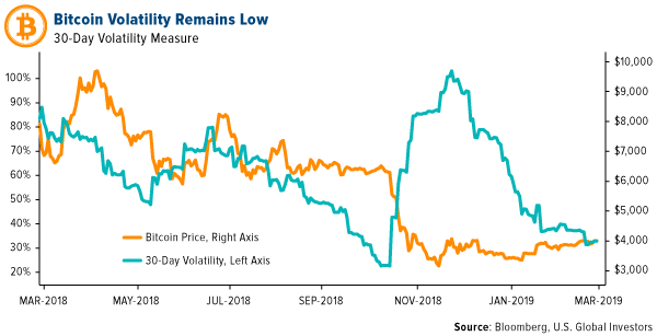 Bitcoin volatility remains low