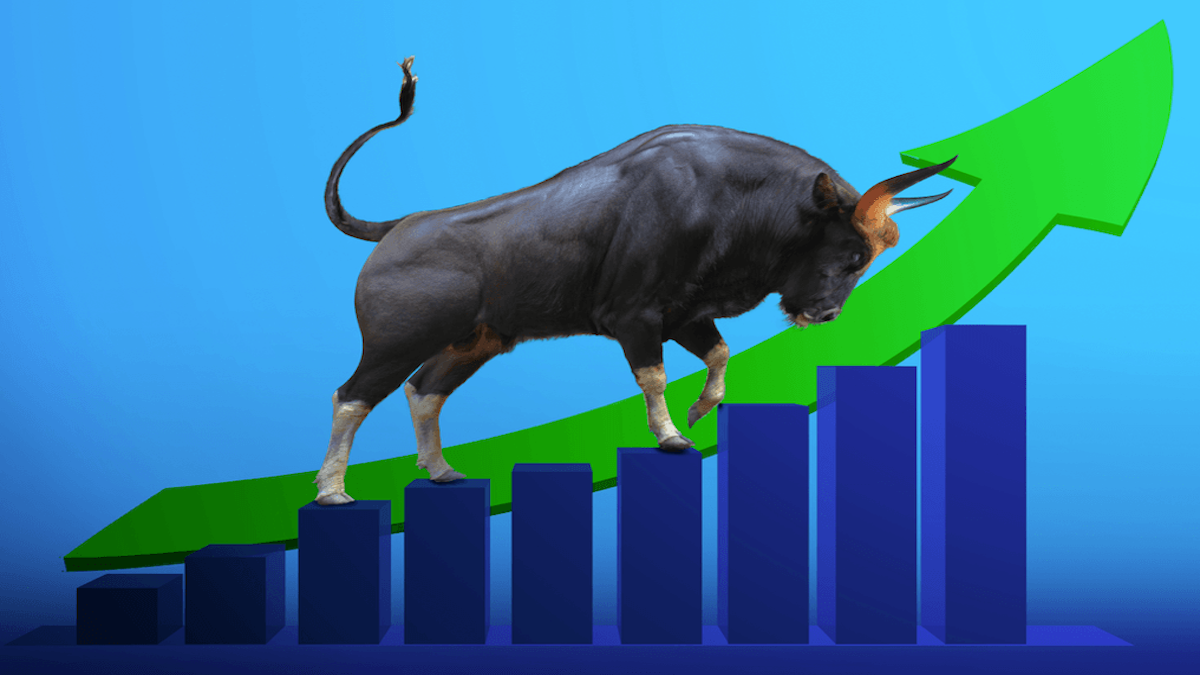 Cooling AI Frenzy Reveals a Healthier Bull Market