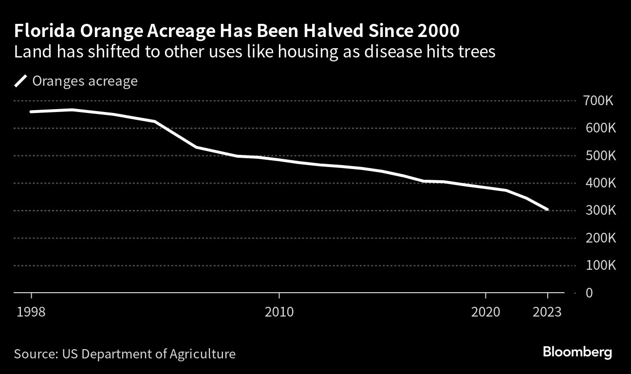 Florida Orange Acreage Has Been Halved since 200