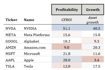 Mag 7 profitability