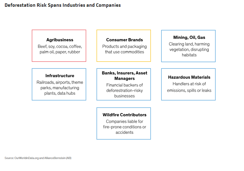 Deforestation Risk Spans Industries and Companies