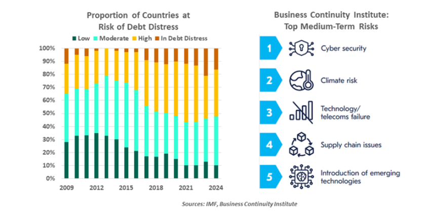 Proportion of Countries at Risk of Debt Distress