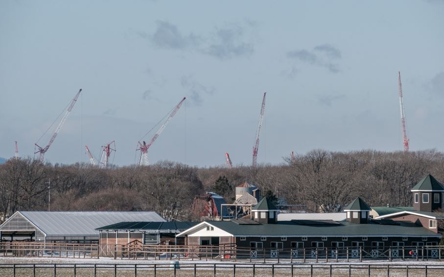 cranes