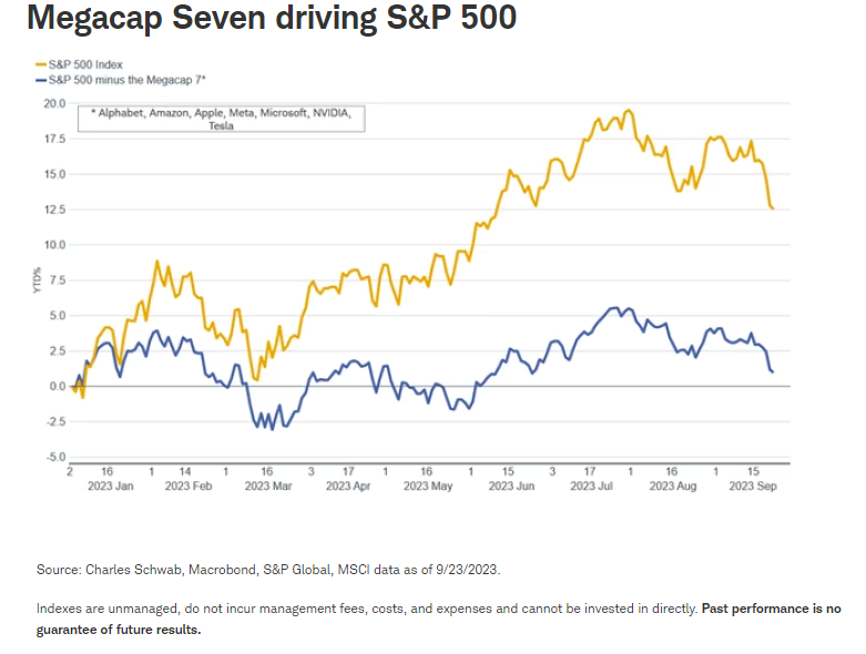 Megacap Seven driving S&P 500