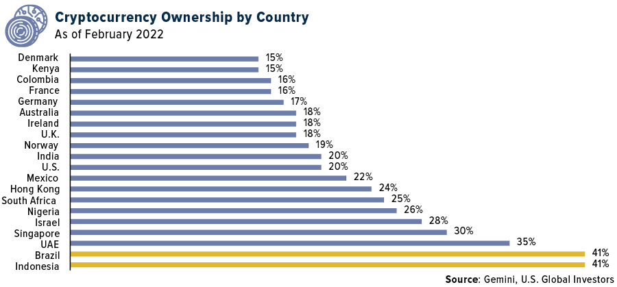 Cryptocurrency ownership by country